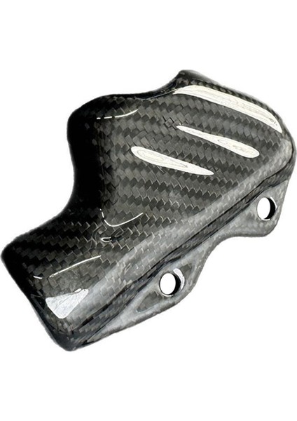 Ducati Panigale V4 S R V2 Streetfighter V4/s Koruma Kapağı Için Motosiklet Karbon Fiber Arka Fren Pompası Kapağı (Yurt Dışından) fiyatları