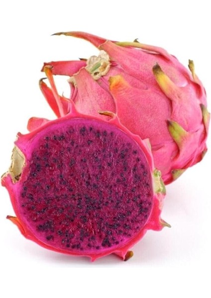 Dünyam Tropikal Kırmızı Pitaya Meyvesi Tohumu 10 Adet Tohum modelleri