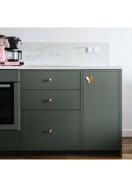 Pirinç Nordic Kelebek Kulpları, Dolap ve Ayakkabı Dolabı Çekmece Kollarının Yumruksuz Montajı (Yurt Dışından) fiyatları