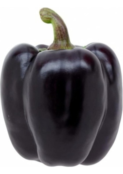 Nadir Mor Dolmalık Biber Tohumu 10 Adet Tohum