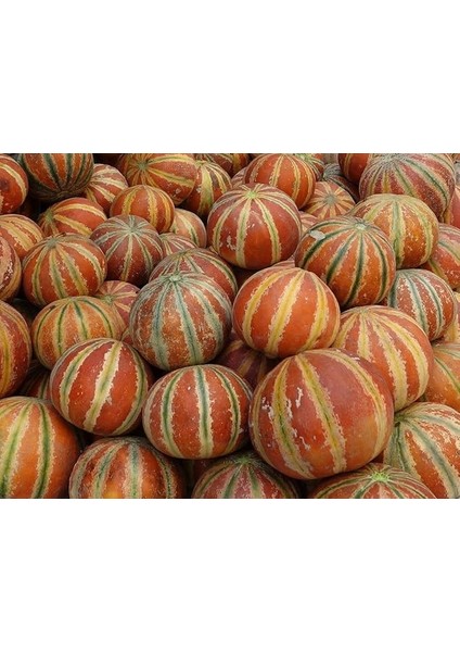 Adet Kajari Kavun Tohumu