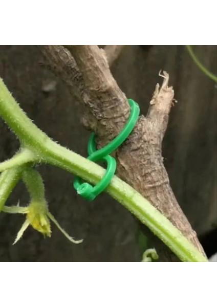 500PCS Asma Çemberi Klipsleri Dik Bitki Tutucusu Yeşil Plastik Demetli Yüzük Bahçe Standı Asma Desteği (Yurt Dışından) fırsatları