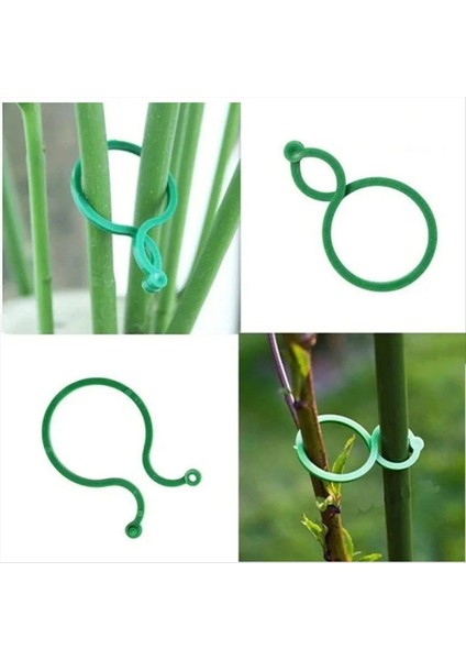 500PCS Asma Çemberi Klipsleri Dik Bitki Tutucusu Yeşil Plastik Demetli Yüzük Bahçe Standı Asma Desteği (Yurt Dışından) indirimleri