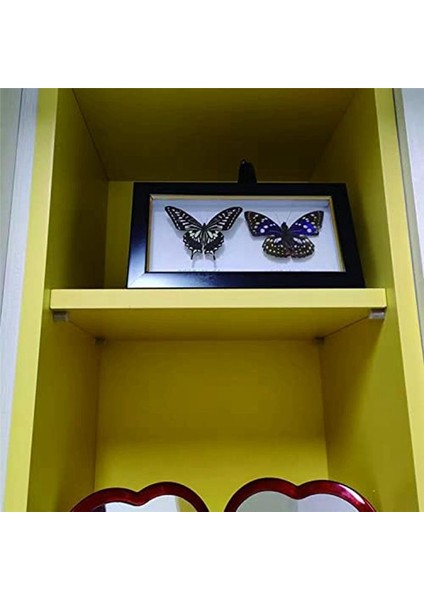 40 Adet Raf Braket Vidaları, Kaymaz Kılıflı Mandallar, Mobilya ve Kitaplık Rafı Için Sarılmayan Fıçı Tahtası Tutucu (Yurt Dışından)