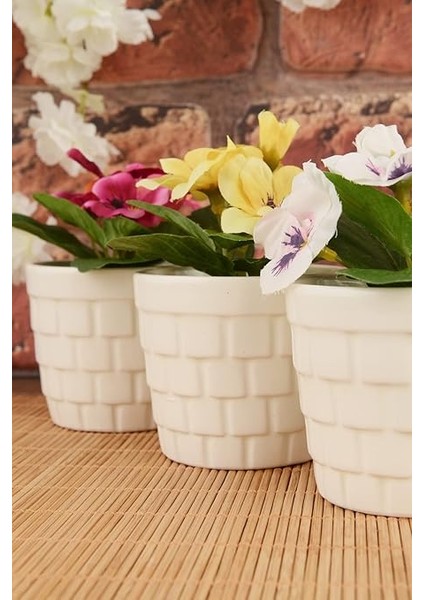 Kaktüs Seramik Saksı 3'lü Krem indirimleri