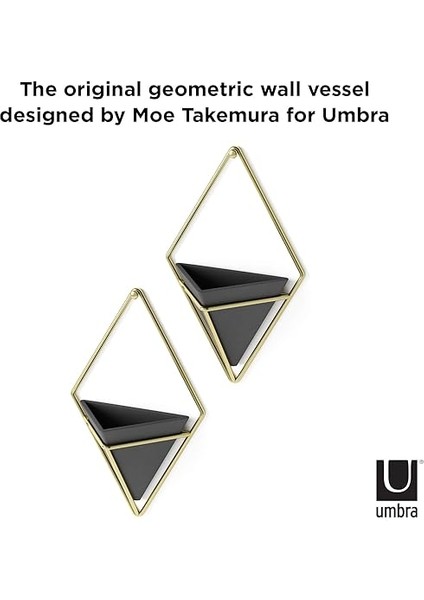 Trigg Duvar Vazosu ve Geometrik Dekoasyon, Oda Bitkileri, Sukulentler, Hava Bitkileri, Kaktüs, Yapay Bitkiler ve Daha Fazlası Için Saksı, Siyah/pirinç, 2'li Set, Küçük indirimleri