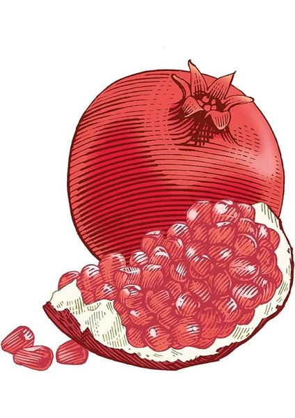 Bees Nar Aromalı Dudak Bakım Kremi fırsatları