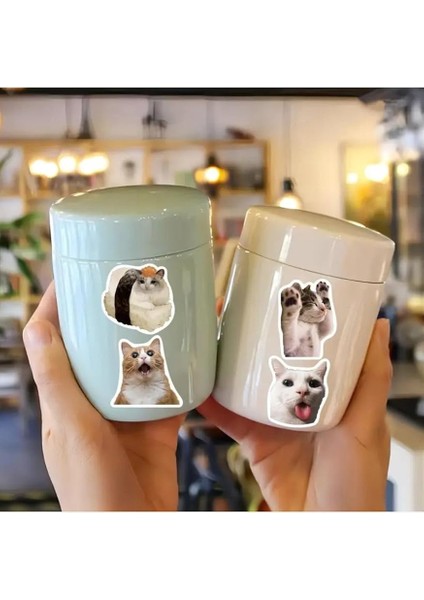 Major Selection 100'LI Çılgın Kedi Sticker Set Laptop Notebook Tablet Sticker Seti fiyatları