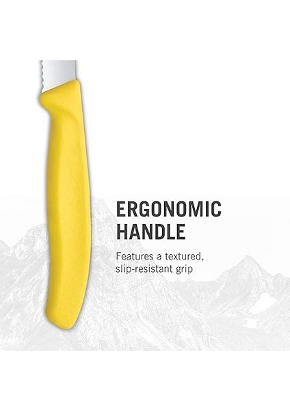 Vt 6.7839.6G Swiss Classic 6 Renkli Domates Bıçağı Seti 11 cm fırsatları