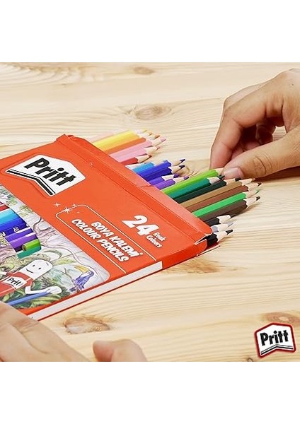 12'li Uzun Kuru Boya Kalemi, 12 Renk modelleri