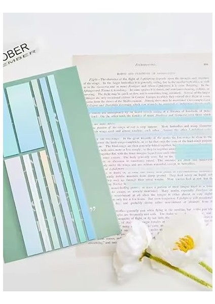 Şeffaf Renkli Yapışkanlı Not Kağıdı Karma Şerit (Karma Şerit 1) fırsatları