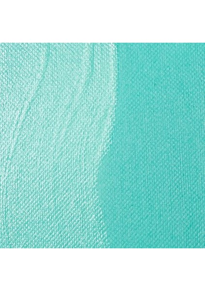 5204 Profesyonel Mat Vernik, Akrilik Boyalar Için Son Kat Verniği - Saten Son Kat, Sararma Yapmayan, Eskimeye Karşı Dayanıklı, Hızlı Kuruyan, Arşiv Kalitesinde - 4oz Şişe, Şeffaf fiyatları