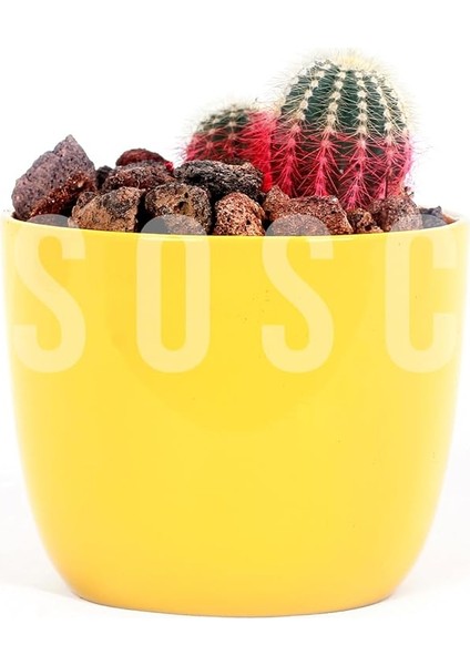 Pomza Taşı 2-3 cm Volkanik Cürüf Ponza Lav Kırığı 3 Lt fiyatları