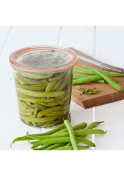 580 ml Mold Uzun Kavanoz 742 fiyatları