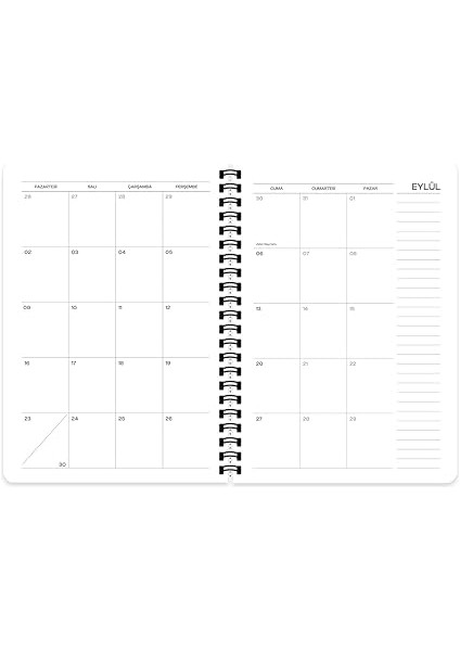 Color 16 * 23 Spiralli Akademik Ajanda - Kalp indirimleri