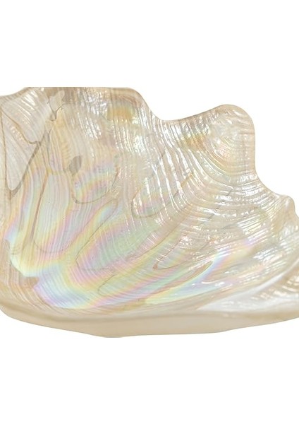 Concept Oyster Dekoratif Tabak Krem 16 cm fırsatları