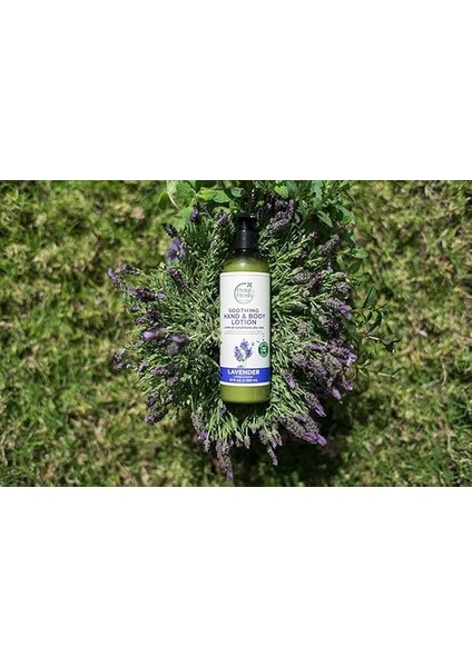 Fresh Lavanta Özlü Yatıştırıcı El ve Vücut Losyonu, 355 ml modelleri