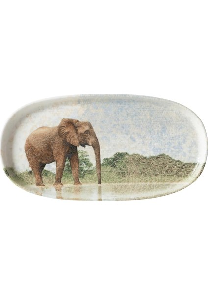 Concept Wild Düz Kayık Tabak 25CM fırsatları