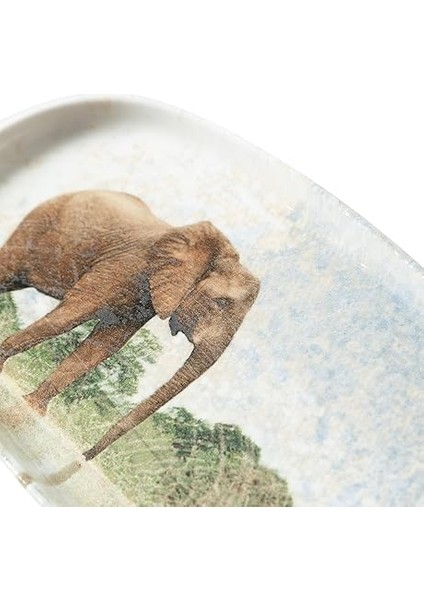 Concept Wild Düz Kayık Tabak 25CM indirimleri