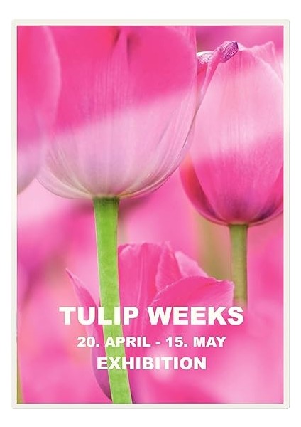 Sıcak Laminasyon Folyosu, Parlak, Şeffaf, A5, Udt, Folyo Kalınlığı 125 Miks, 100'LÜ Paket, 74930000 modelleri