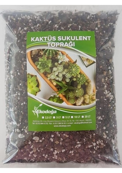 Tarım Kaktüs Sukulent Toprağı 10 Litre - Teraryum Için Uygun Toprak Ithal Torf Toprak Pomza Vermikulit modelleri