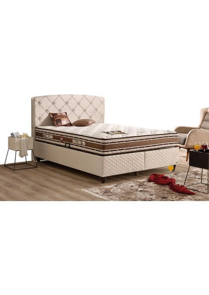 Cashmere Plus Set Çift Kişilik Yatak Seti 160 x 200 Başlık + Sandıklı Baza+ Ortopedik Yatak fiyatları