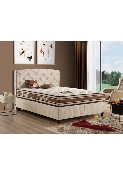 Cashmere Plus Set Çift Kişilik Yatak Seti 160 x 200 Başlık + Sandıklı Baza+ Ortopedik Yatak modelleri