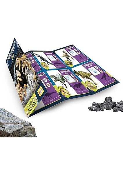 - Ben Bir Genius Predators 2 In 1 95421 fırsatları