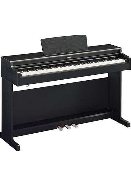 B Dijital Piyano fiyatları