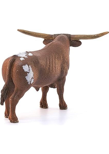 13866 T Longhorn Boğa, Renkli fırsatları