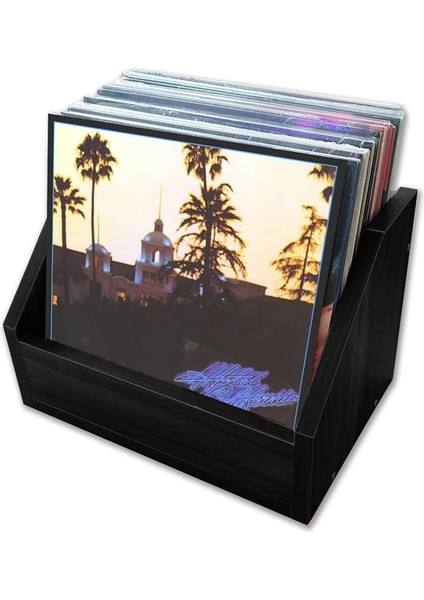 Sesler Lp Plak Kasası (Açık) (Siyah)