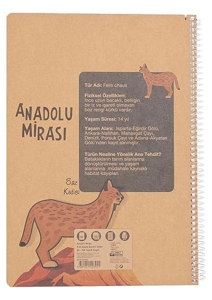 Anadolu Mirası Spiralli Defter, A4, 100 Yaprak, 70G Kağıt, Çizgili, 500 Mikron Pp Kapak, Pet Spiralli, Asorti Renkler, Dayanıklı ve Ergonomik Kullanım fiyatları