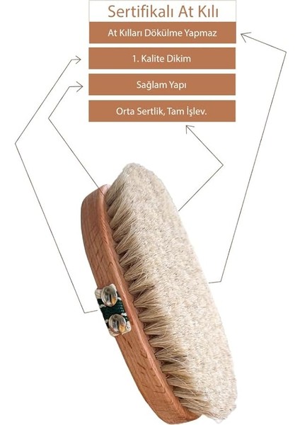 Doğal Sertifikalı At Kılı Fırçası, Selülit Giderici fırsatları