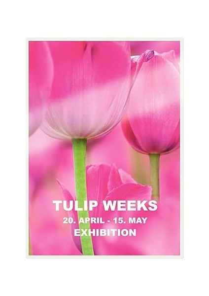 7481 A-4 Laminasyon Filmi 125 Micron 100'LÜ fırsatları