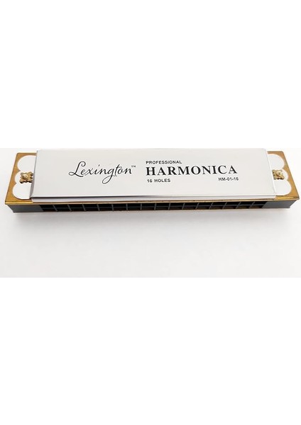 LMHM0116 Mızıka 16 Delik Profesyonel Harmonica Kutulu