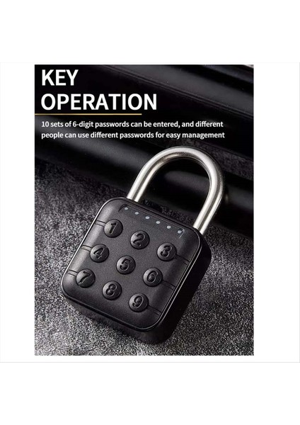 Tuya Bluetooth Akıllı Parmak Izi Kapısı Kilit Anahtarsız (Yurt Dışından)