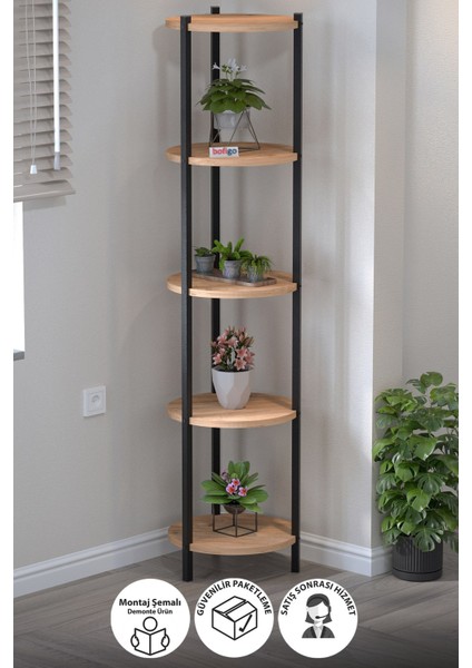 5 Raflı Çiçeklik Rafı Saksılık Standı Dekoratif Aksesuar Rafı Saksılık Lale Çam