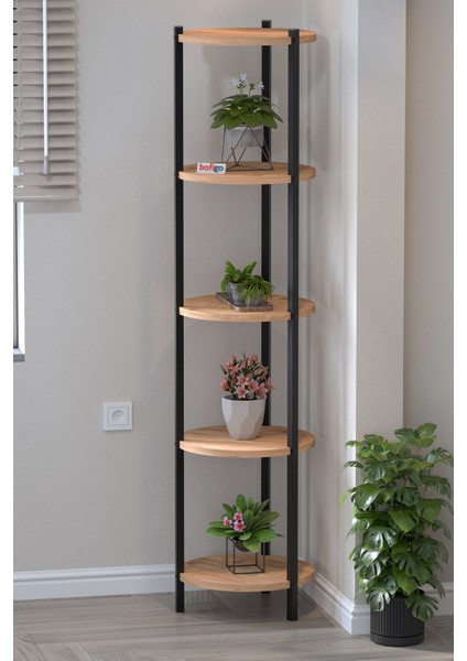 5 Raflı Çiçeklik Rafı Saksılık Standı Dekoratif Aksesuar Rafı Saksılık Lale Çam fiyatları