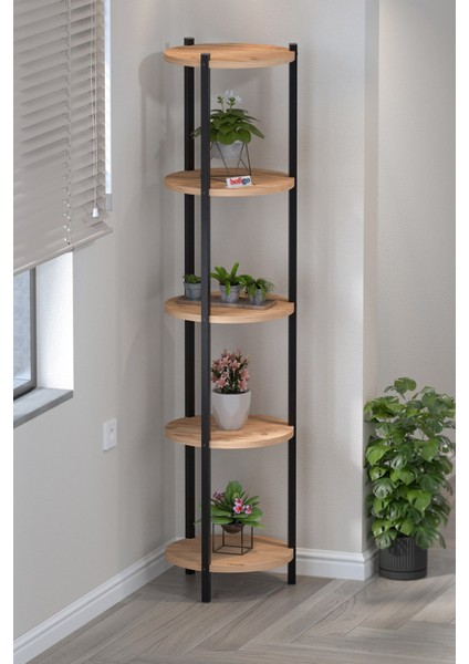 5 Raflı Çiçeklik Rafı Saksılık Standı Dekoratif Aksesuar Rafı Saksılık Lale Çam modelleri