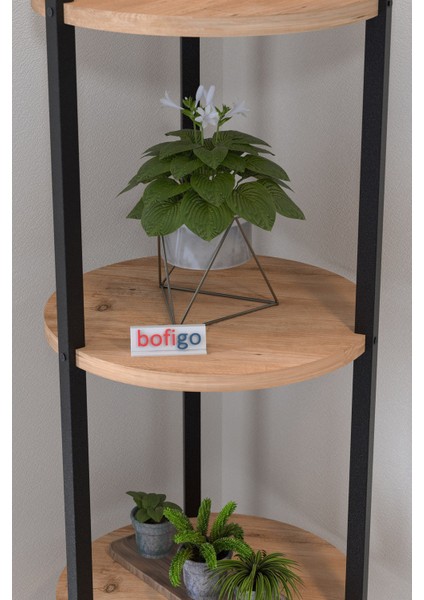 5 Raflı Çiçeklik Rafı Saksılık Standı Dekoratif Aksesuar Rafı Saksılık Lale Çam fırsatları