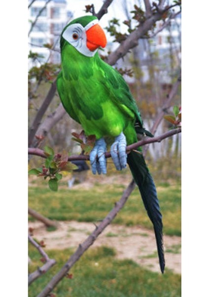 1 Doğal Gerçekçi Papağş Tüylü Kuş Heykelciği Dekoratif Yeşil 45CM (Yurt Dışından) fırsatları