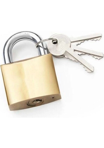 Sarı Asma Kilit 25 mm ( Lisinya )