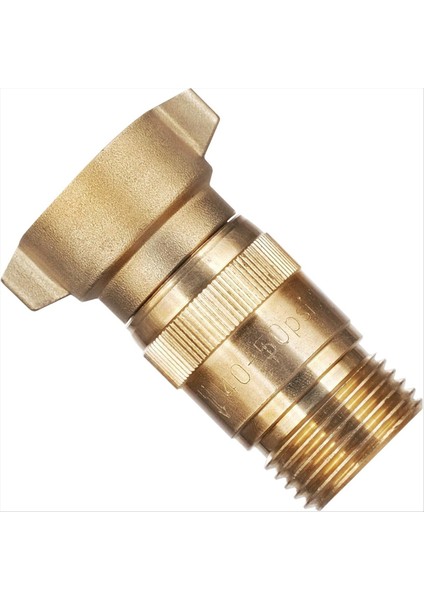 Rv Akışlı Su Basıncı Regülatörü Pirinç Kurşunsuz 40-50 Psı Filtreli Önceden Ayarlanmış Su Basıncı Düşürücü (Yurt Dışından)