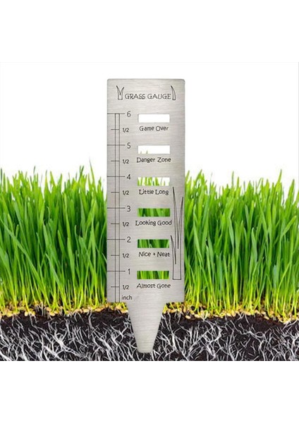 Çim Çim Göstergesi - Paslanmaz Çelik Çim Göstergeleri Bahçe Çim Gösterileri Hediyeler Için Göstergeler Çim Aracı Yard Peyzaj Tesisi 2 Pcs (Yurt Dışından) modelleri