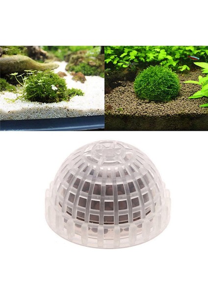 2x Sucul Evcil Hayvan Malzemeleri Süslemeleri Akvaryum Yosun Topu Canlı Bitkiler Filtre Dekor (Yurt Dışından) fırsatları