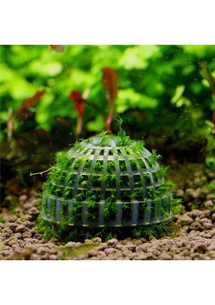 2x Sucul Evcil Hayvan Malzemeleri Süslemeleri Akvaryum Yosun Topu Canlı Bitkiler Filtre Dekor (Yurt Dışından) indirimleri