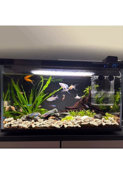 Ezilmiş Mercan Filtresi Akvaryum Balık Tankı Ezilmiş Mercan Tatlı Su Akvaryumu Ph Akvaryum Biyo Filtre Medya Çantası (Yurt Dışından) fiyatları