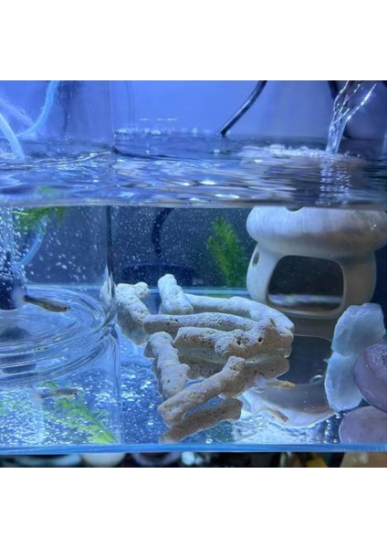 Ezilmiş Mercan Filtresi Akvaryum Balık Tankı Ezilmiş Mercan Tatlı Su Akvaryumu Ph Akvaryum Biyo Filtre Medya Çantası (Yurt Dışından) modelleri