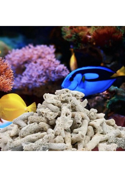 Ezilmiş Mercan Filtresi Akvaryum Balık Tankı Ezilmiş Mercan Tatlı Su Akvaryumu Ph Akvaryum Biyo Filtre Medya Çantası (Yurt Dışından) fırsatları