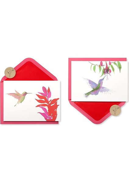 Zarflı Boş Kartlar, Suluboya Sinek Kuşu, 20 Adet